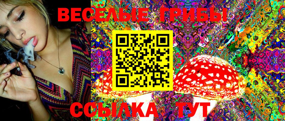 Дальнереченск  Галлюциногенные грибы Cubensis  Галлюциногенные грибы Cubensis  Вход с VPN 